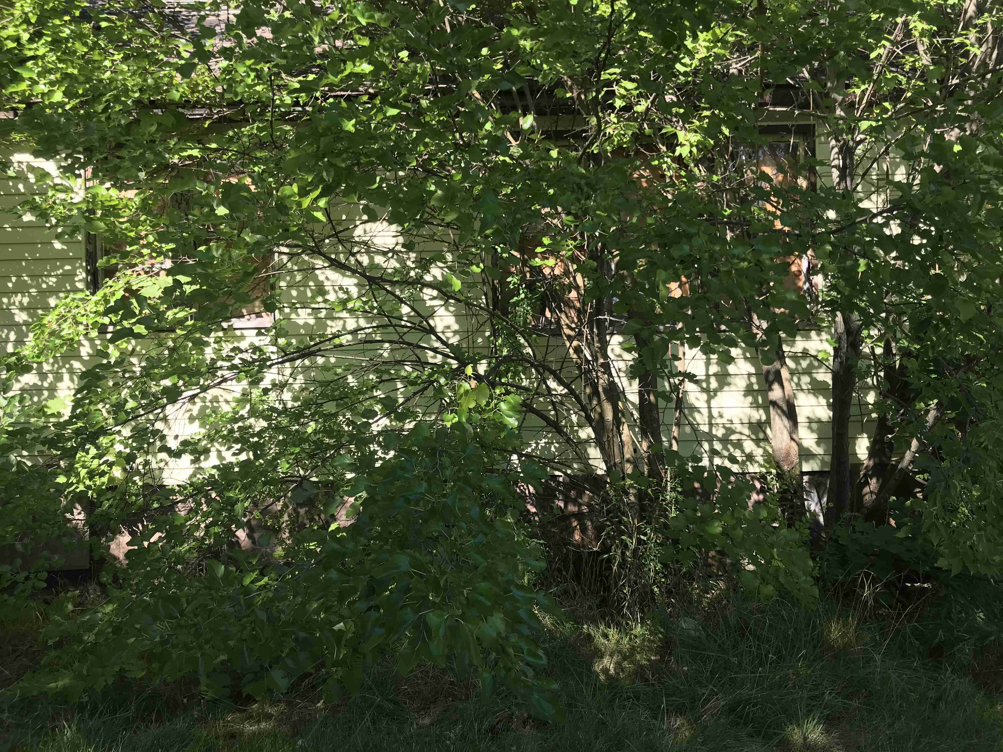 Photo Aug 20, 10 23 04 AM.jpg